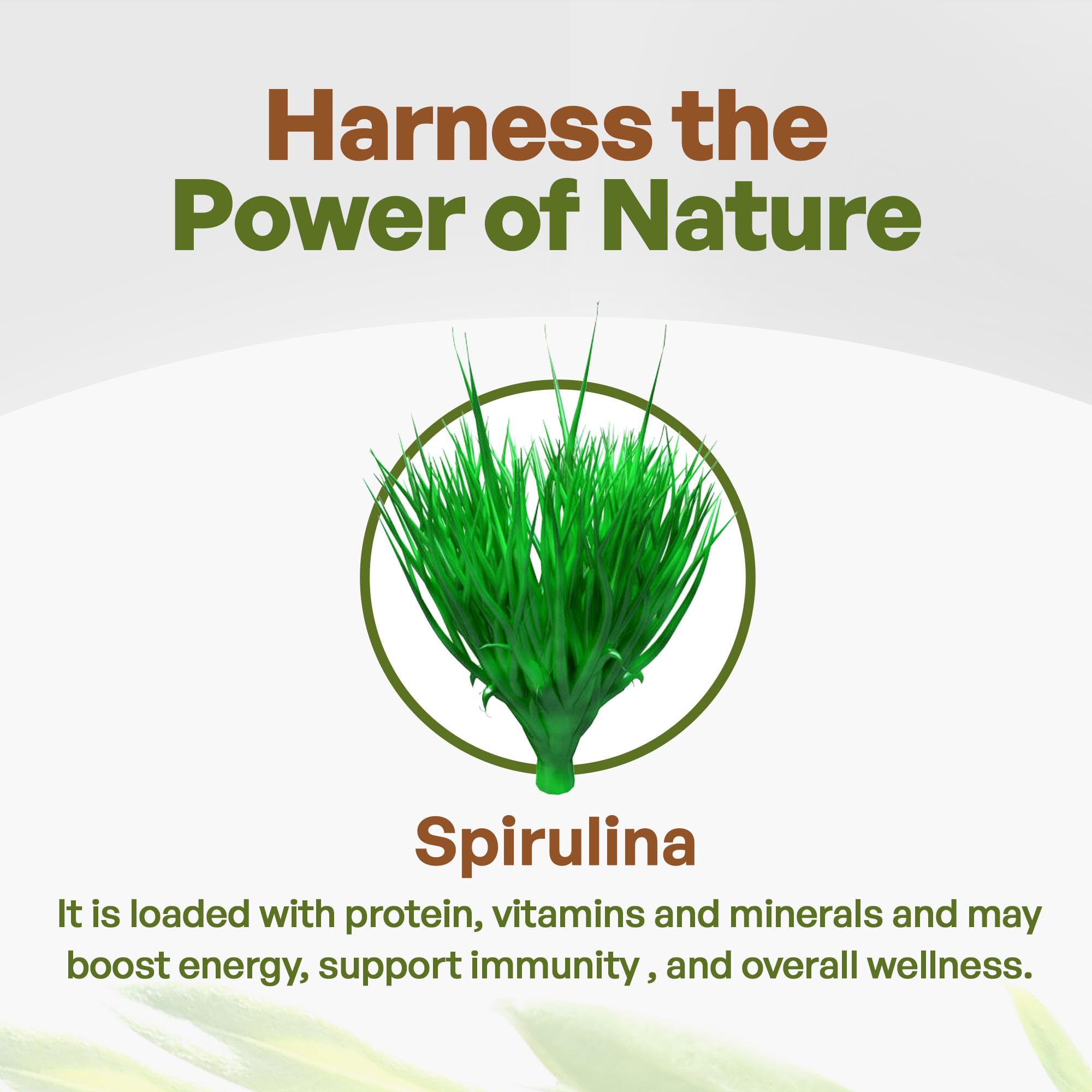 Go Nutra Spirulina tablets label emphasizes non-GMO, gluten-free, filler-free composition.