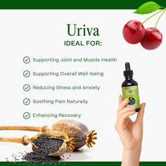 Go Nutrients Uriva Tart Cherry ingredient highlights natural flavor and botanical support.
