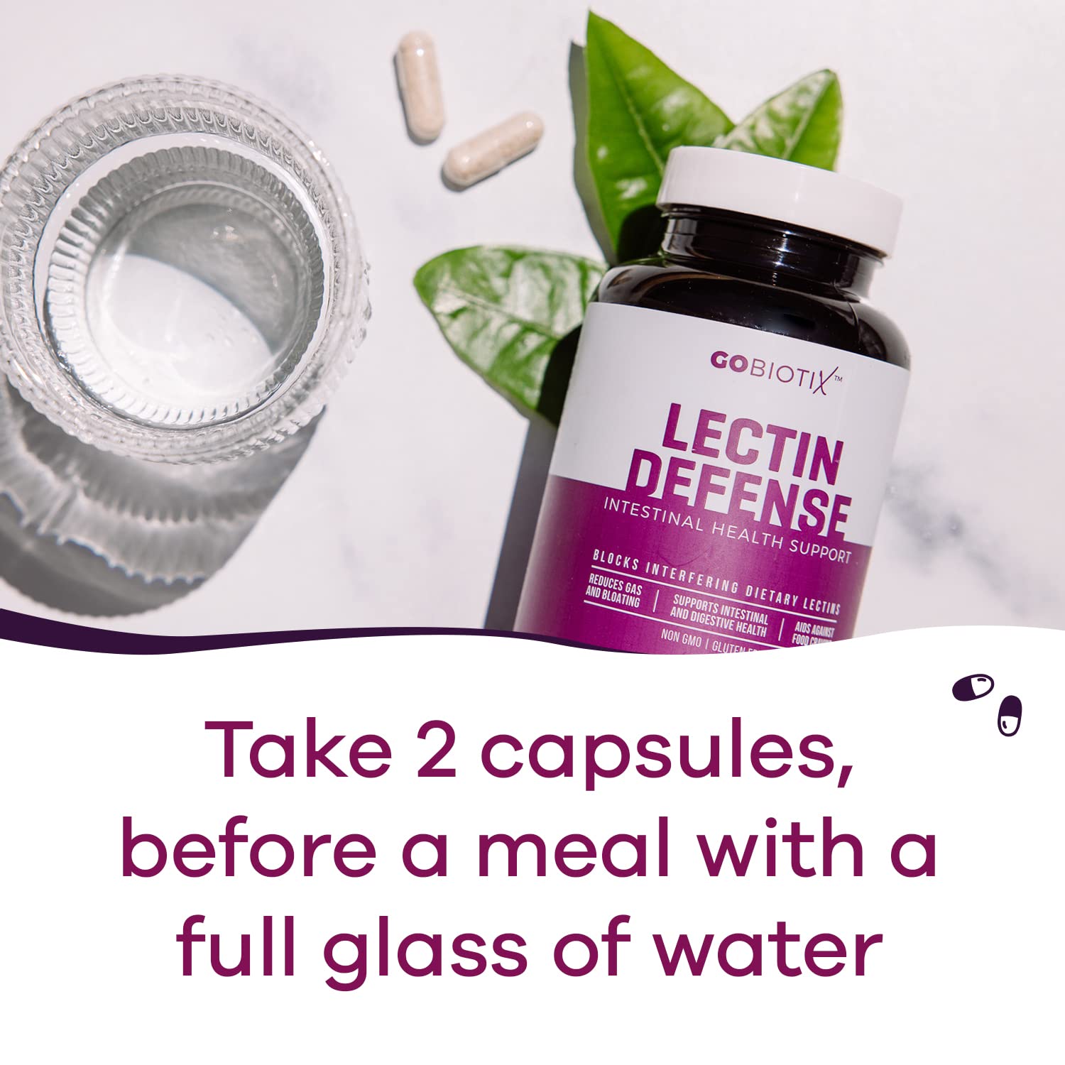 GOBIOTIX Lectin Defense capsules closeup—MSM and enzymes for digestion.