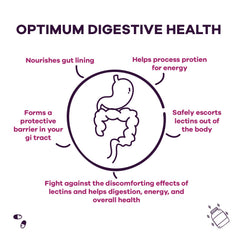 GOBIOTIX Lectin Defense ingredients list—N-Acetyl D-Glucosamine and MSM features.