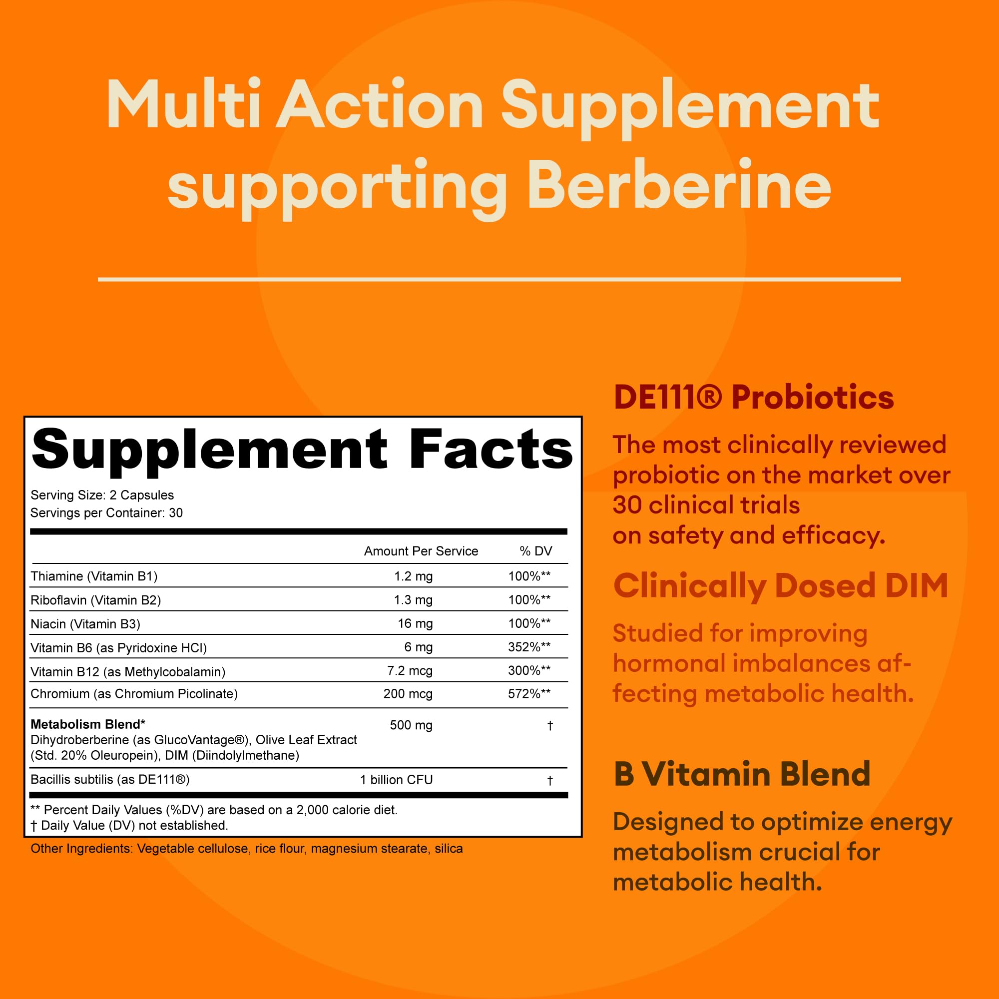 GoldenRoot GLDN Berberine bottle back label displays ingredients and usage details for absorption.