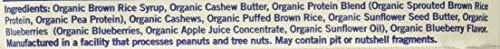 GoMacro blueberry cashew butter bar nutrition panel emphasizes protein and energy