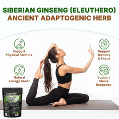 Go Nutra Siberian Ginseng powder jar and spoon ready for daily use