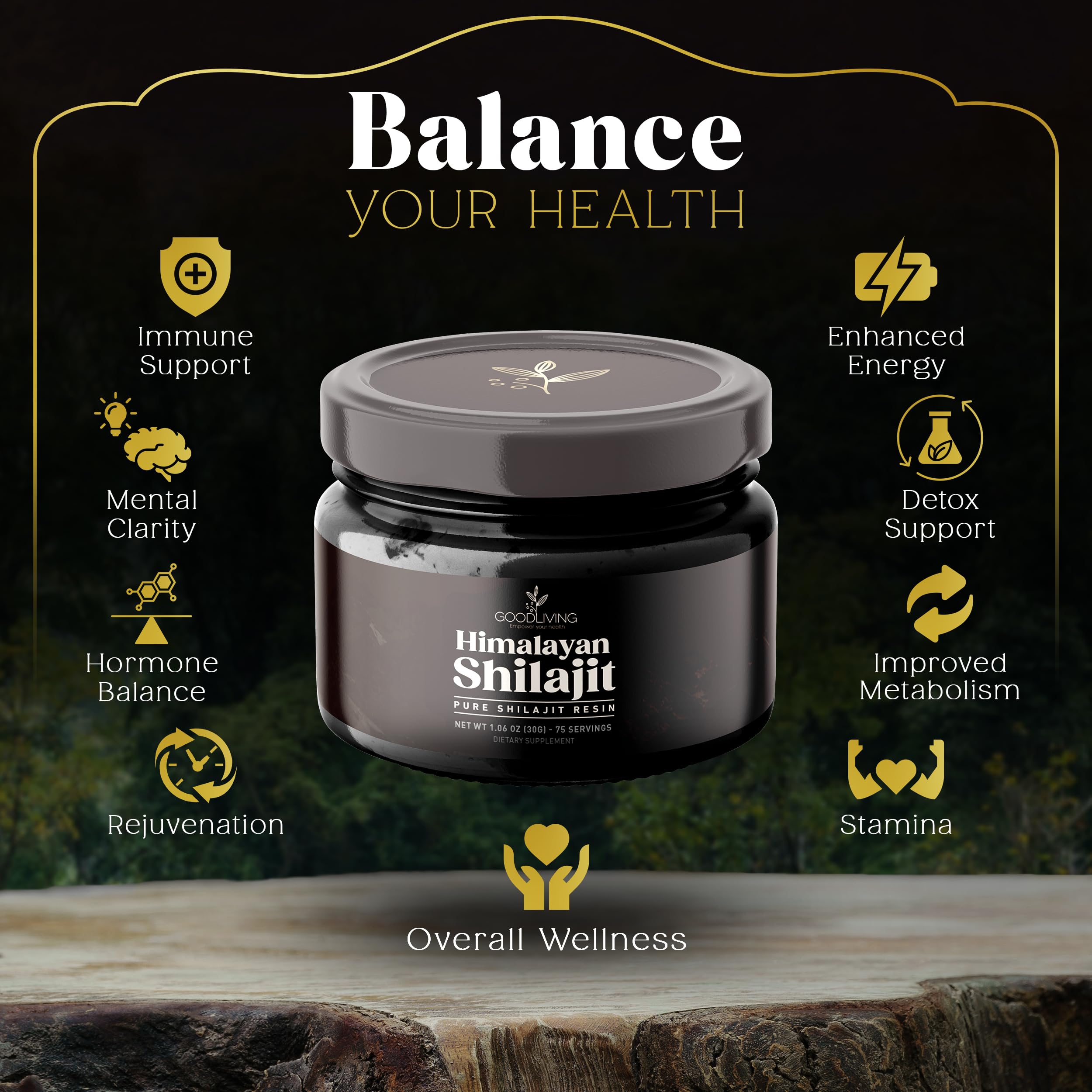 GoodLiving Himalayan Shilajit Resin spoon for easy daily dosing.