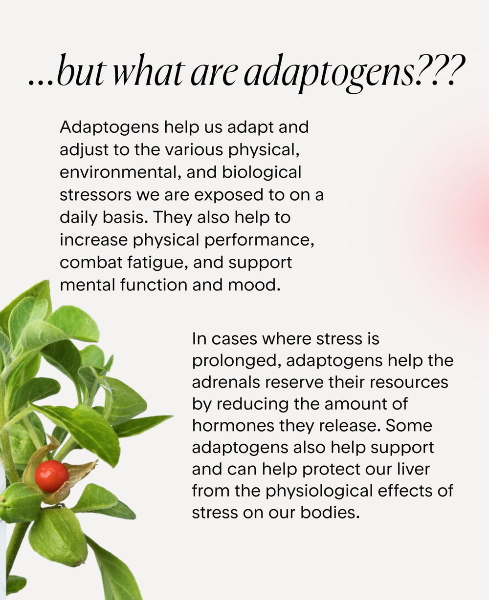 Goodness Lover Ashwagandha supports focus during work and study