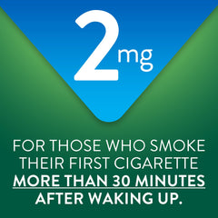 GoodSense nicotine gum Arctic Mint label highlighting 2 mg nicotine for cravings relief.