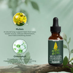 Close-up of mullein leaves and chlorophyll extracts by Goovip ETHALE.