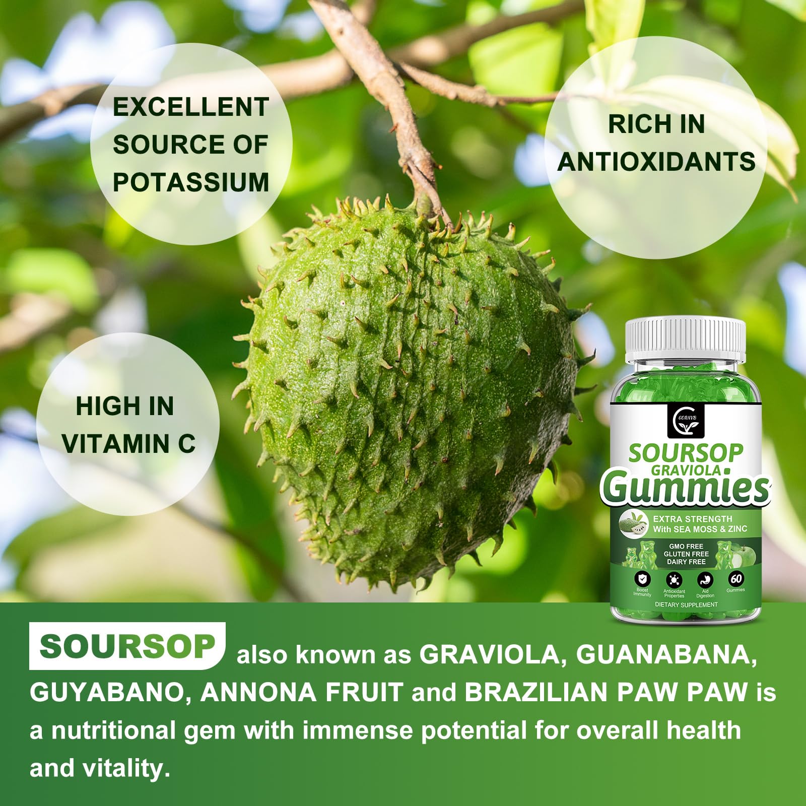 GORNVB Soursop Gummies fruit-flavored look, appealing flavor for daily routine.