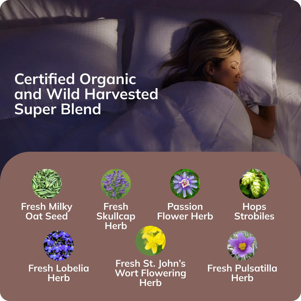 Grama Zzzzz drops in water signal fast-acting rest support.