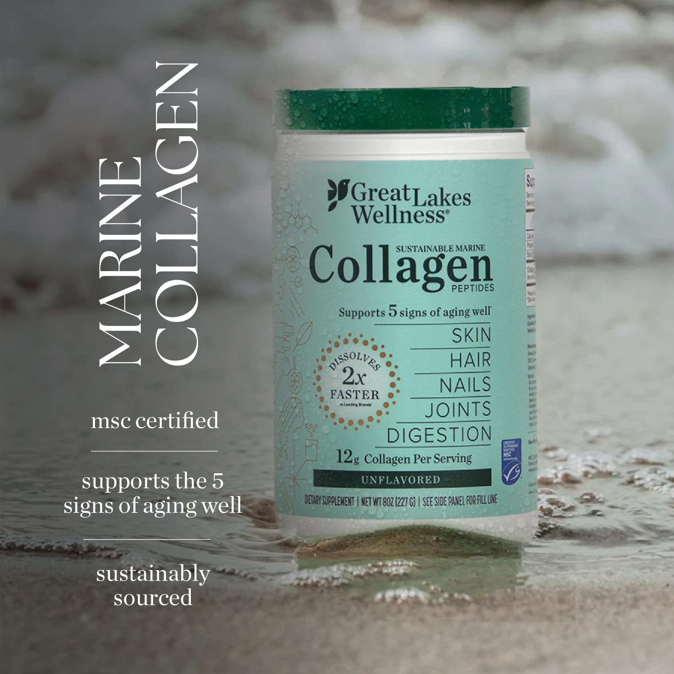 Great Lakes Wellness joint support and gut health potential with marine collagen.