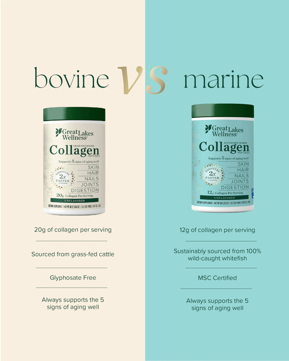 Great Lakes Wellness collagen powder added to coffee enhances your morning routine