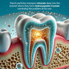 Applying CrystLCare strip to the targeted area on a tooth.