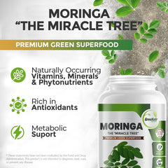 GreeNatr ginkgo biloba leaves focus hints at cognitive support potential.