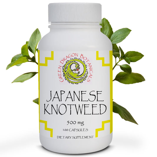 Green Dragon Botanicals Japanese Knotweed capsules bottle highlighting 500 mg per serving for immune support