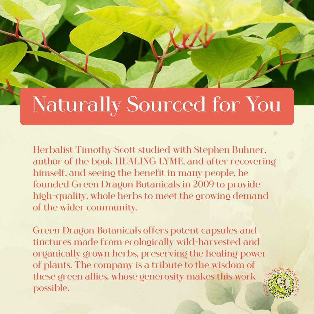 Green Dragon Botanicals LB Core ingredients close-up supports bone and brain health.