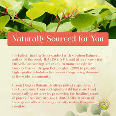 Green Dragon Botanicals LB Core ingredients close-up supports bone and brain health.