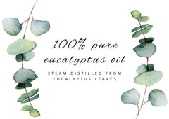 GreenHealth eucalyptus oil bulk 32oz—great for refills and projects.