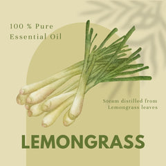 GreenHealth Lemongrass Oil plug cap – keeps freshness intact.
