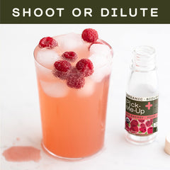 Greenhouse Juice Co energy shot green tea bottle for clean caffeine from tea extracts