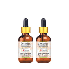 Greenwood Essential Ledum oil bottle 15ml in amber glass preserves potency for daily use