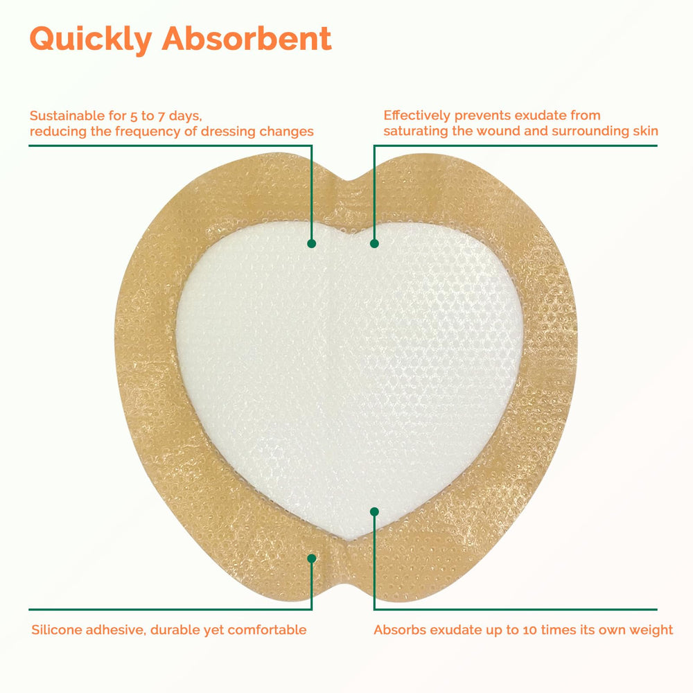 Greetmed Sacrum Foam Dressing Border designed to absorb exudate and reduce dressing changes
