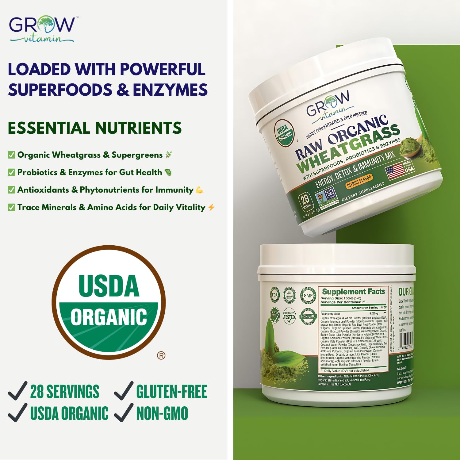Wheatgrass powder scoop ready for smoothies, a convenient daily nutrition option.