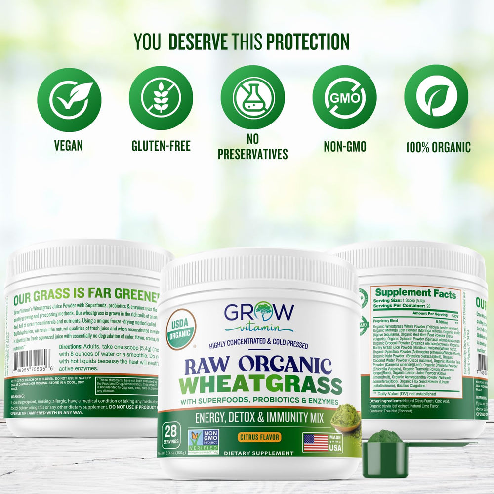 Blended into a smoothie, Grow Vitamin Wheatgrass Powder creates a vibrant green drink.