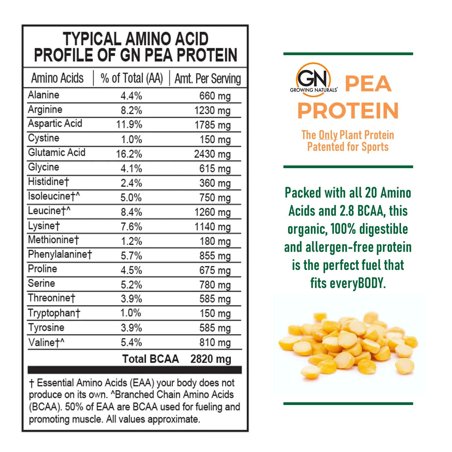 Growing Naturals Raw Pea Protein pour demonstrates versatile use in beverages