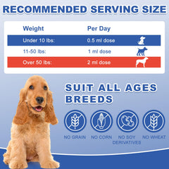 Guanshiya vet-approved formulation supports senior cats with gentle, user-friendly care