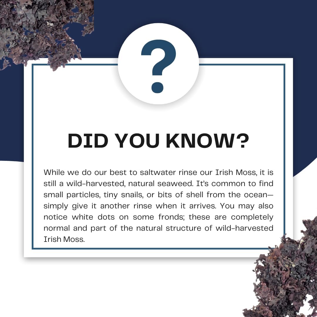Chondrus Crispus leaf form by Gulf of Maine offers versatile wellness options.