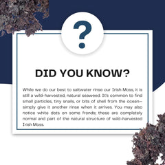 Chondrus Crispus leaf form by Gulf of Maine offers versatile wellness options.
