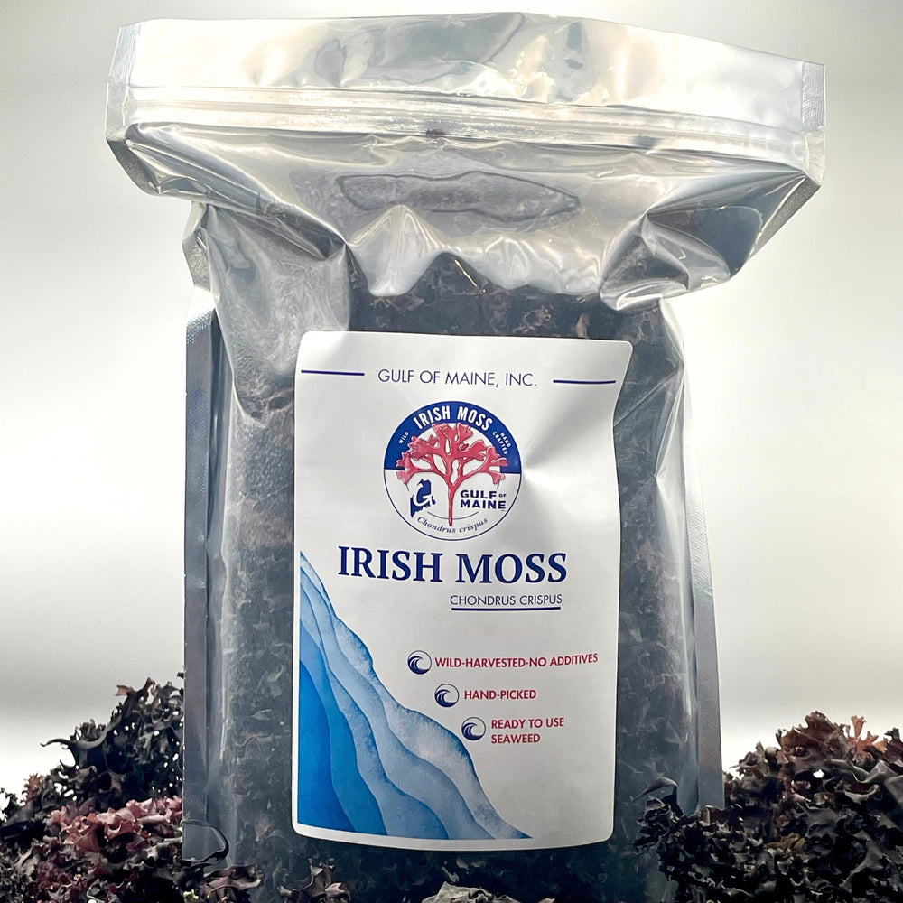 Deep maroon Gulf of Maine sea moss batch with natural mineral content.