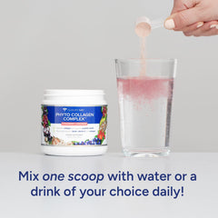 Polyphenols and amino acids in Gundry MD Phyto Collagen Complex displayed for balanced wellness.