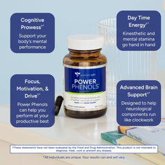 Gundry MD Power Phenols capsules close-up for easy daily use.