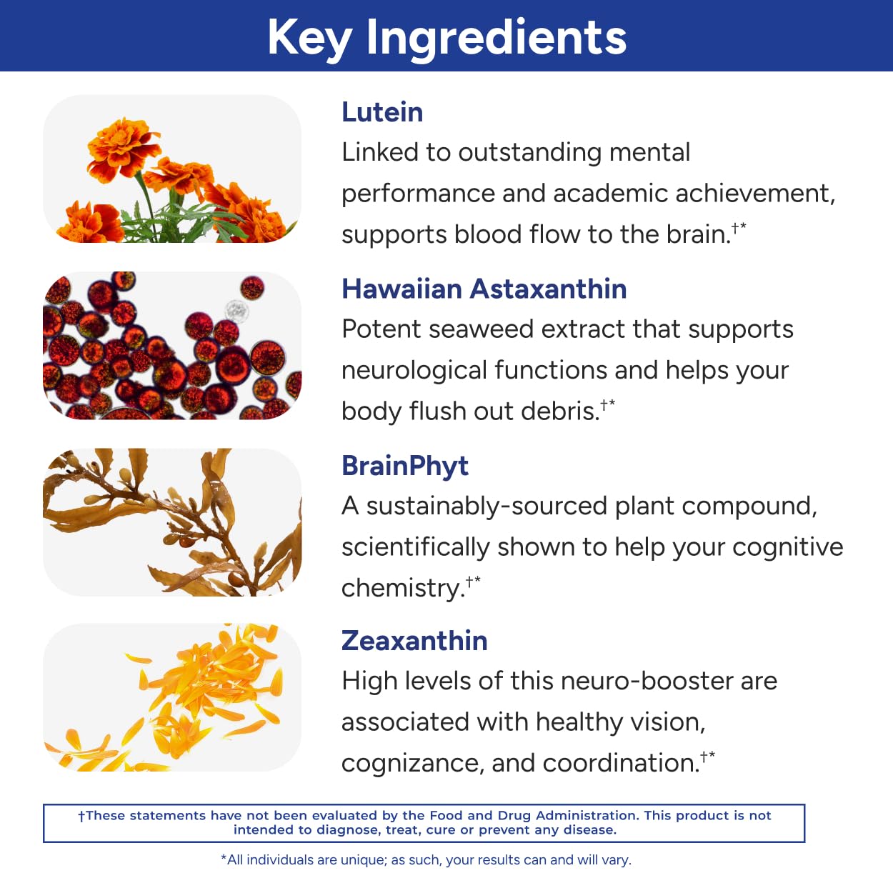 Gundry MD Power Phenols in morning routine for focused energy.