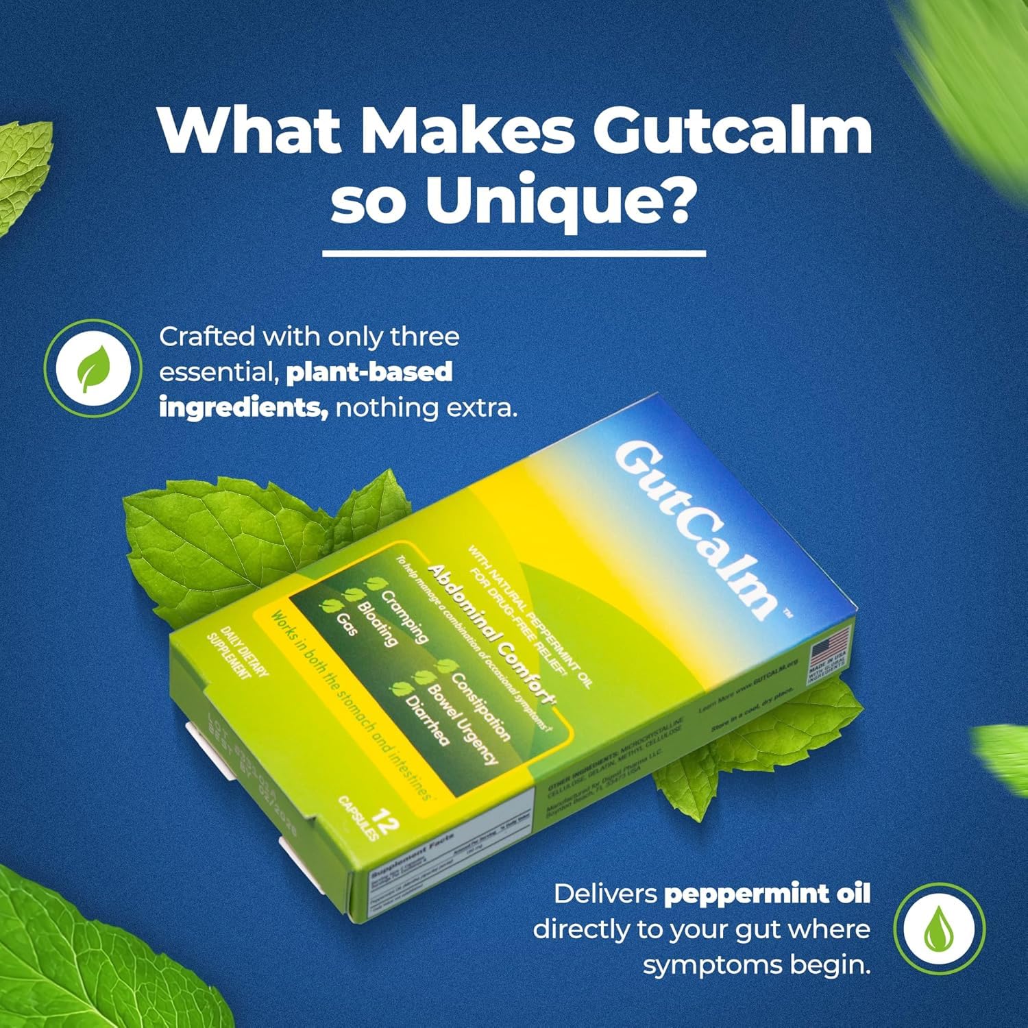 GutCalm packaging box front highlights bundle and easy-to-take capsules.