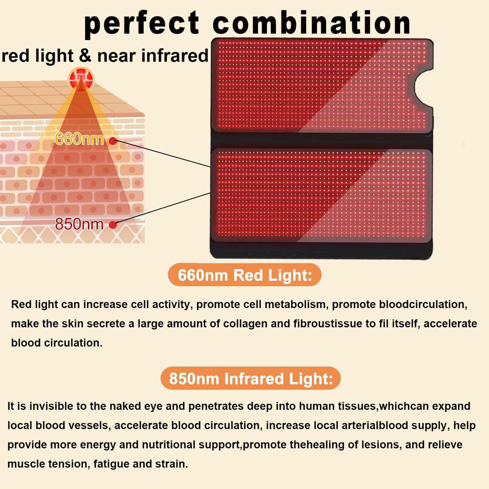 GUYULUX full-body coverage enables comprehensive sessions.