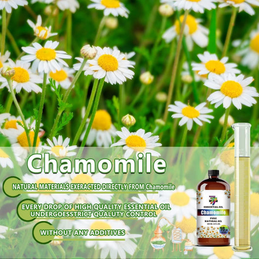 GV77ZF chamomile bottle in amber glass highlighting UV protection and quality packaging