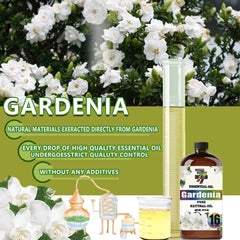 GV77ZF Gardenia Essential Oil ideal for yoga and meditation atmospheres.