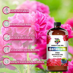 GV77ZF Geranium Essential Oil enhances home fragrance across rooms.
