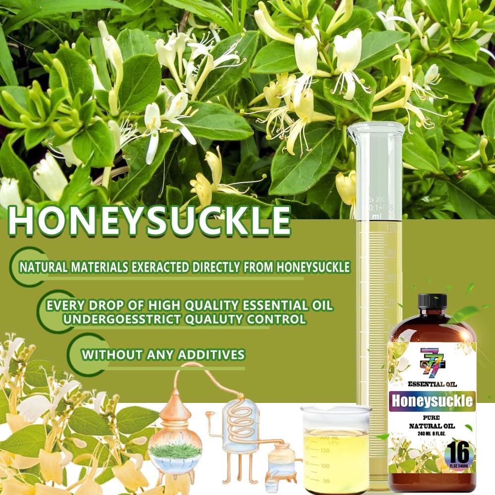 GV77ZF Honeysuckle Oil gift box ideal for gifting occasions.