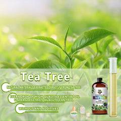 GV77ZF Tea Tree essential oil in diffuser with dilution guidance.