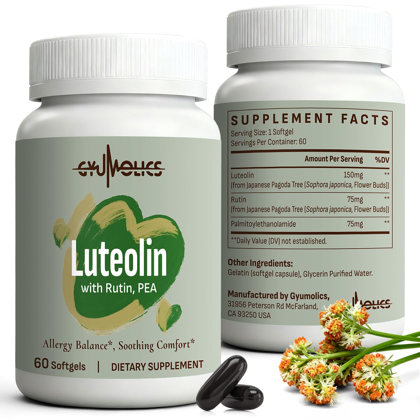 Gyumolics Luteolin Supplement bottle displayed for daily wellness use