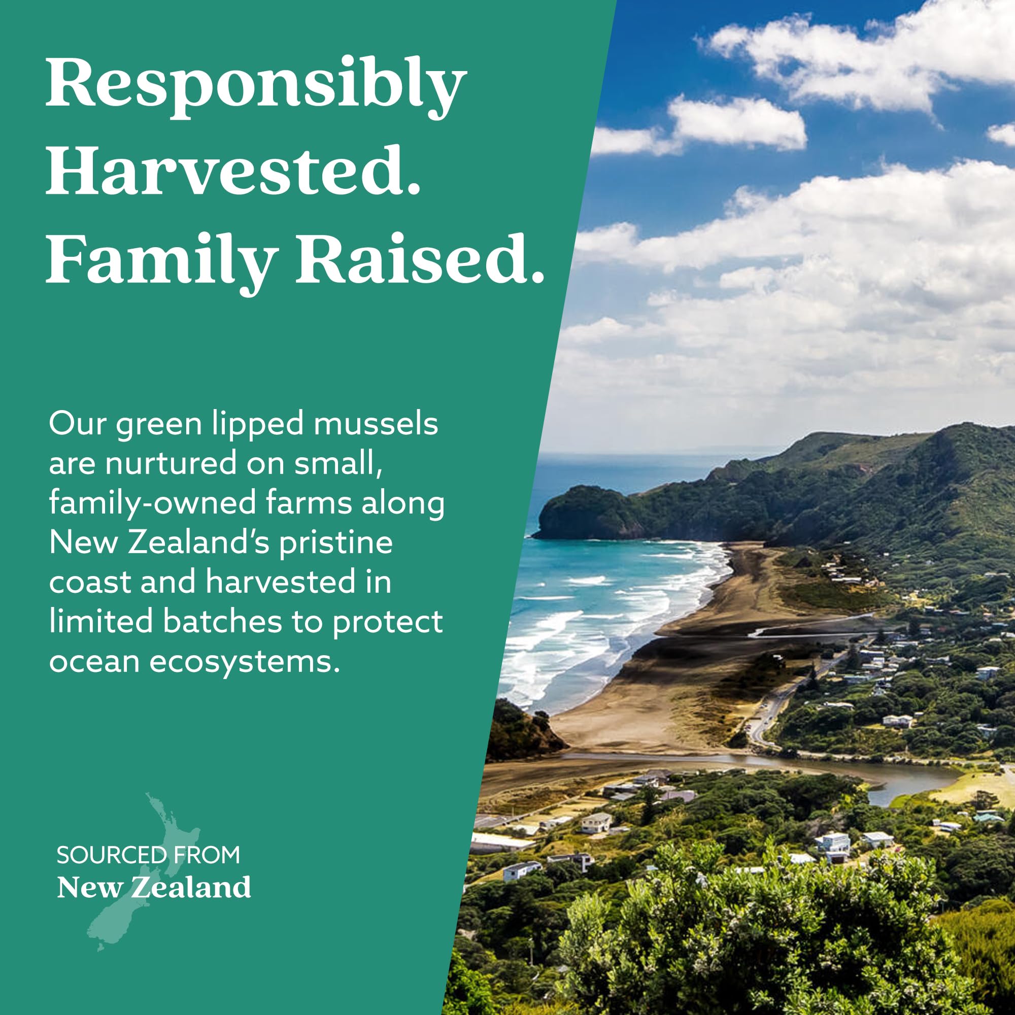 The HAKA Life GLX3 label close-up confirms simple, natural ingredients.
