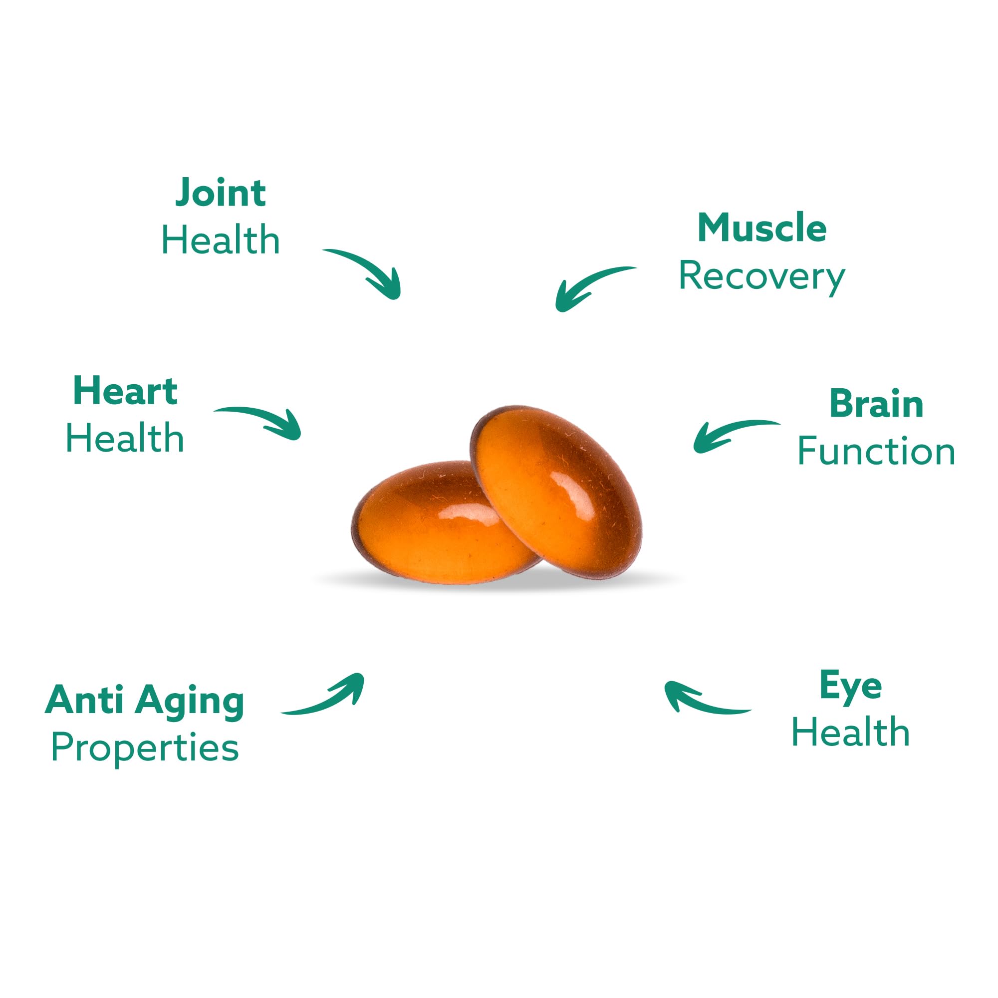 Omega-3 profile highlight for GLX3 with EPA, DHA, OTA, ETA and more.