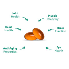 Omega-3 profile highlight for GLX3 with EPA, DHA, OTA, ETA and more.