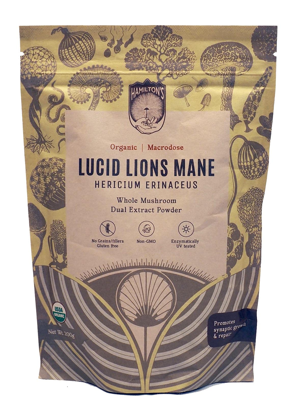 Hamilton's Lucid Lion's Mane bottle on a kitchen counter for daily focus.