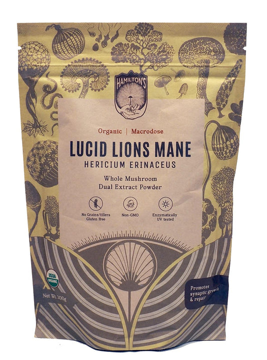 Hamilton's Lucid Lion's Mane bottle on a kitchen counter for daily focus.