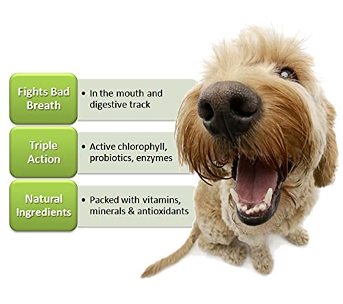 Hank & Harley Fresh Breath Tabs dog chew shown for routine use.