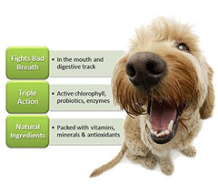 Hank & Harley Fresh Breath Tabs dog chew shown for routine use.